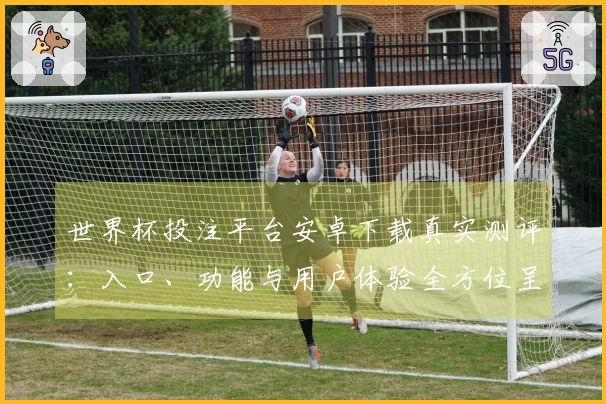 世界杯投注平台安卓下载真实测评：入口、功能与用户体验全方位呈现