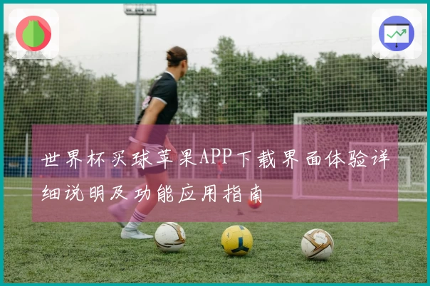 世界杯买球苹果APP下载界面体验详细说明及功能应用指南
