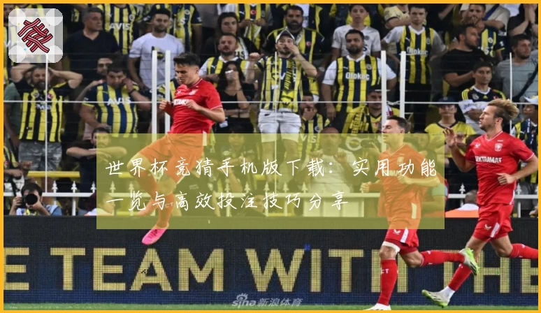 世界杯竞猜手机版下载：实用功能一览与高效投注技巧分享
